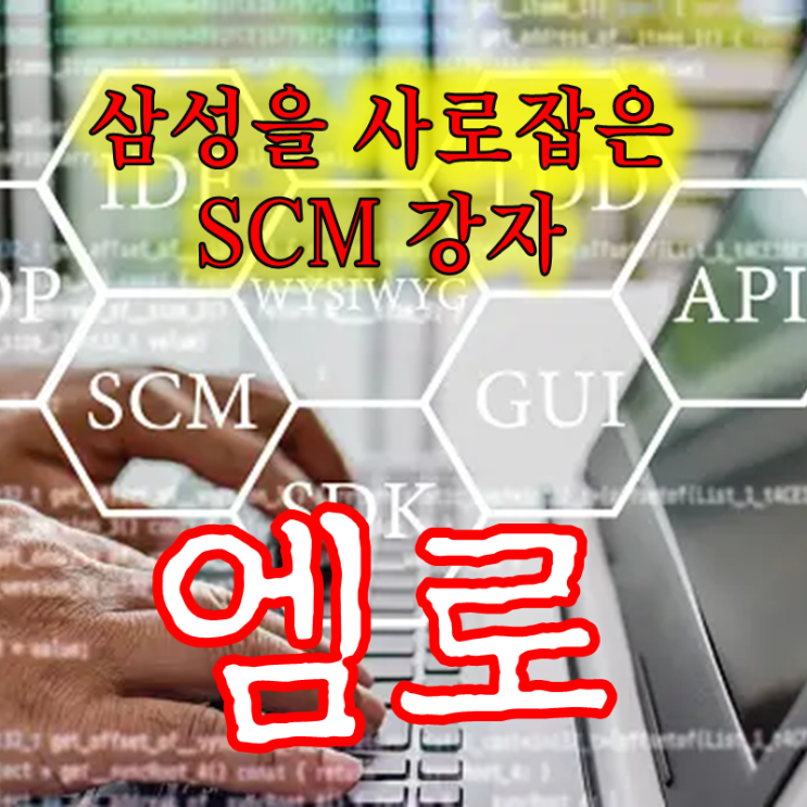  삼성을 사로잡은 공급망관리계의 최강자 엠로 주가 배당 및 실적