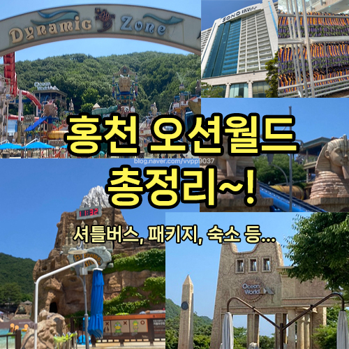  홍천 오션월드! 입장권, 할인, (건대입구)셔틀버스, 준비물, 실내락커, 패키지 후기! 소노벨 비발디파크 B동 스위트 취사형 숙소 후기!!!