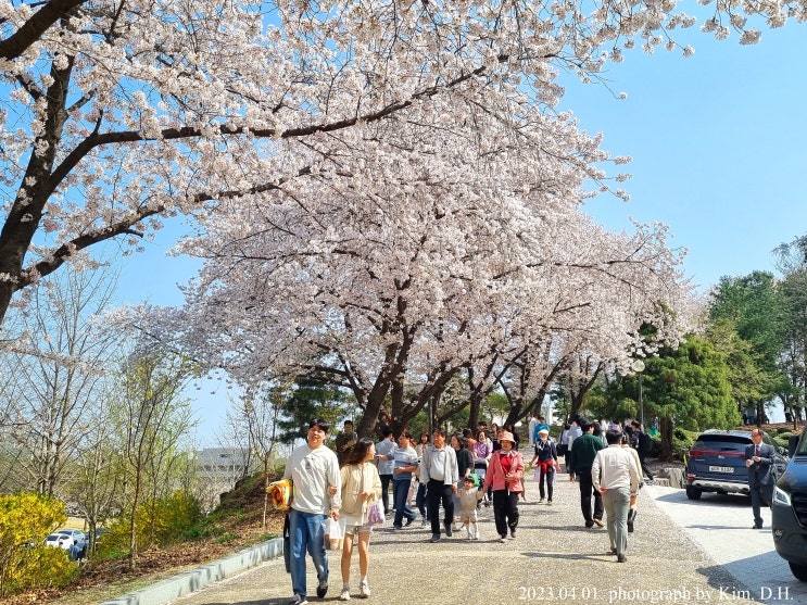  [2023.04.01.] 대한민국 대전 2일차