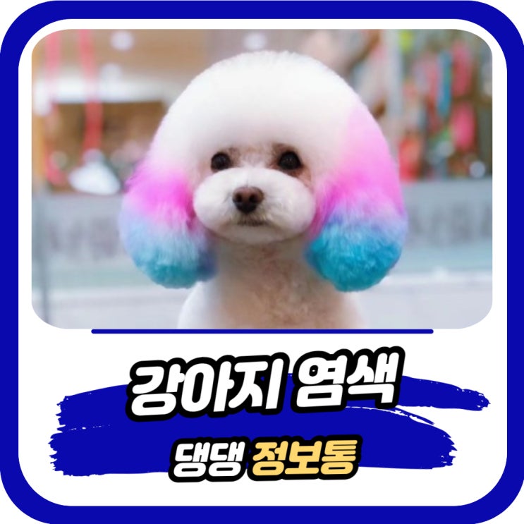  강아지 염색약 괜찮을까