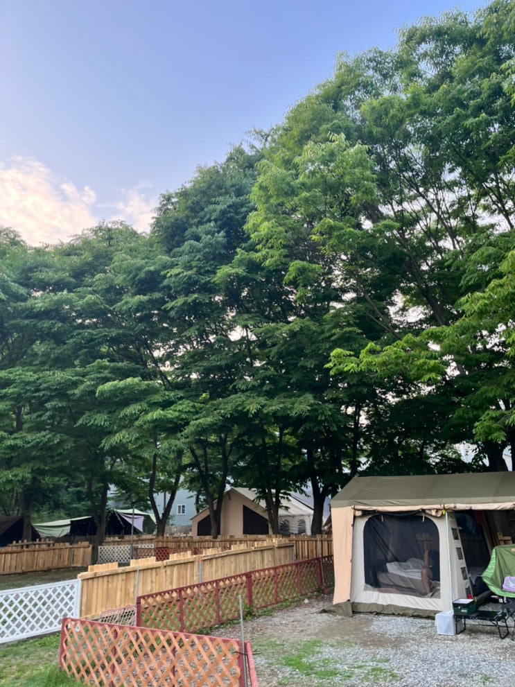  [애견동반캠핑] 아산, 라포레캠핑장, A5