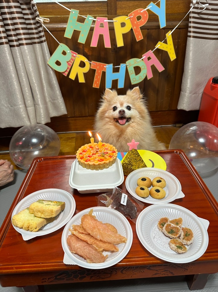  0710- 0714 / 그리고 0715 콩이 생일