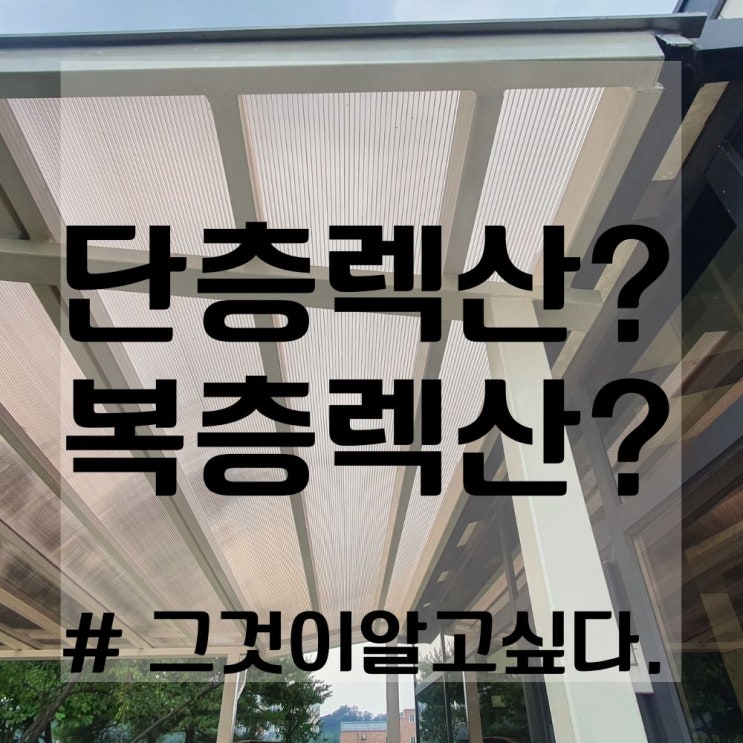  랙산 10T 채양 지붕재 후기 (렉산 견적, 종류, 정보)