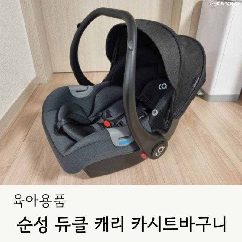 순성 듀클 캐리 카시트바구니 내돈내산 후기