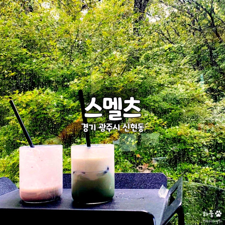  경기 광주 가볼만한곳 스멜츠, 분당 숲뷰 실내데이트 카페