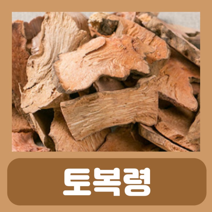  토복령 효능 : 망개뿌리 효능 혈액순환에 신장에 좋은 차 맹감나무 뿌리