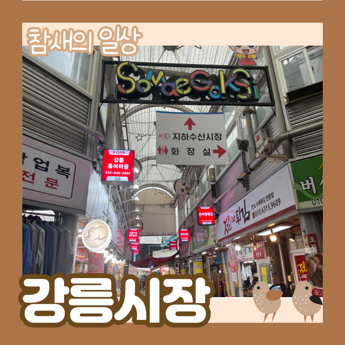  강릉중앙시장 주차장 및 먹거리 배니닭강정/황금십원빵/월화선물가게