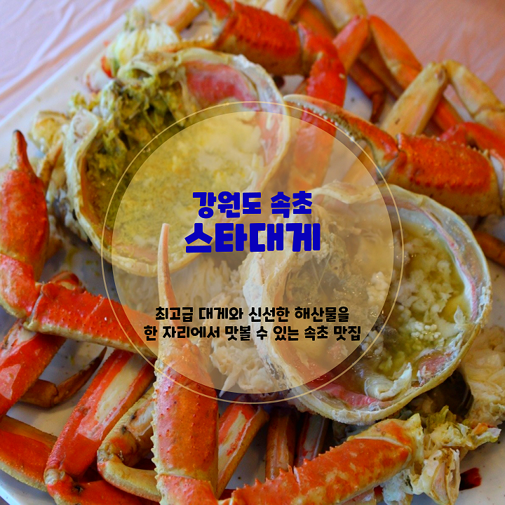  [속초 맛집 추천] 스타대게 월등한 살수율의 대게 전문점 후기