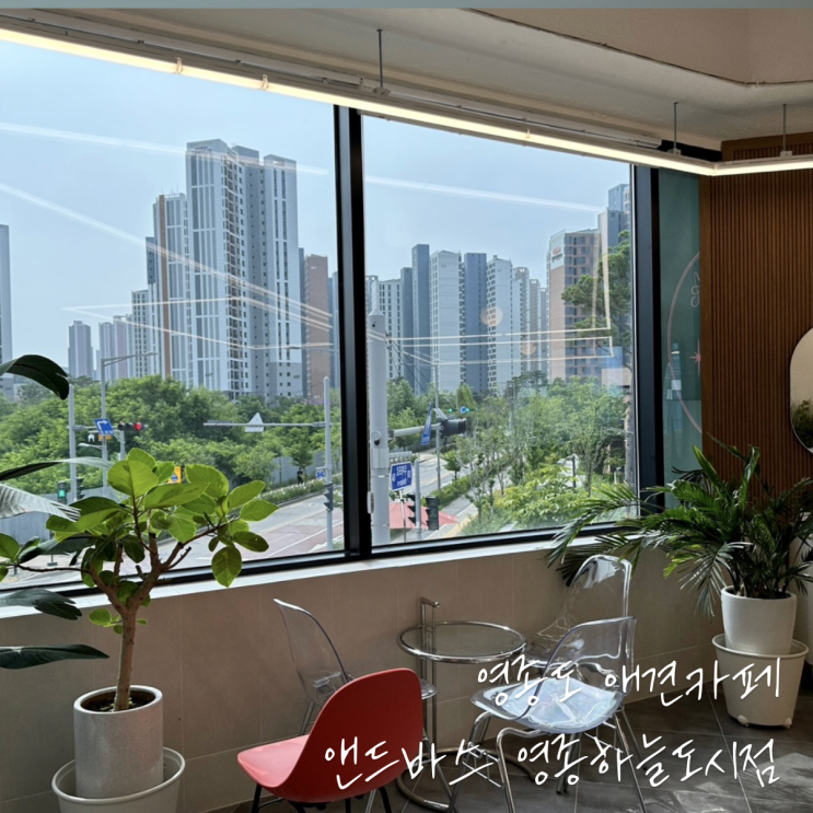 영종동 애견카페 앤드바스 영종하늘도시점