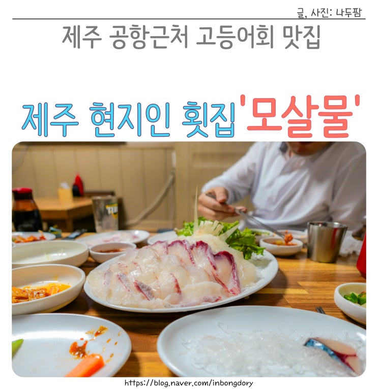  제주 공항 근처 현지인 맛집 고등어회 횟집 모살물 본점