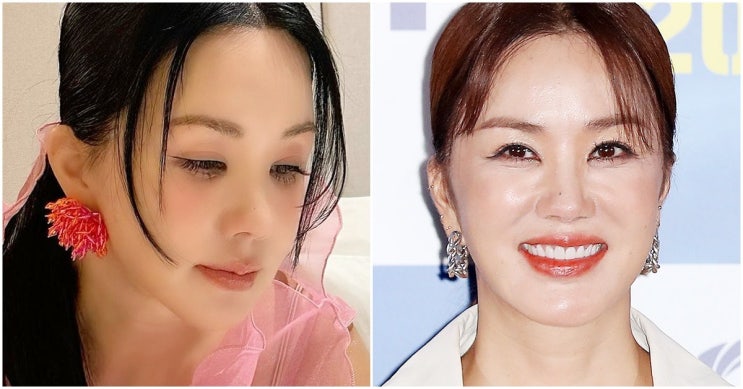 "수영장에 루프탑까지" 엄정화, '억' 소리나는 한남동 자택 공개 "수영장에 루프탑까지" 엄정화, '억' 소리나는 한남동 자택 공개