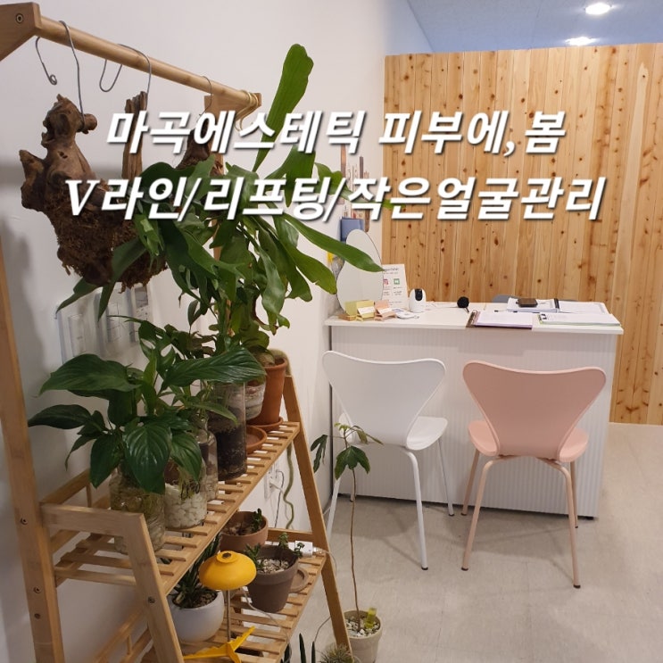  마곡에스테틱 피부에봄 V라인 리프팅 작은얼굴관리