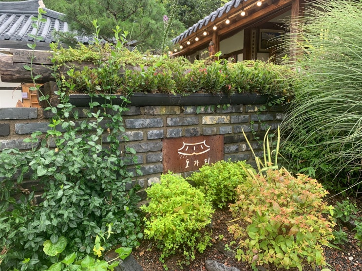  [양산카페] 동면 법기수원지 옆 한옥감성 카페도라지