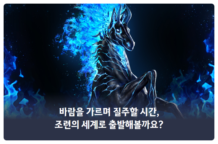  검은사막 조련경험치 & 탑승물 경험치 핫타임 이벤트