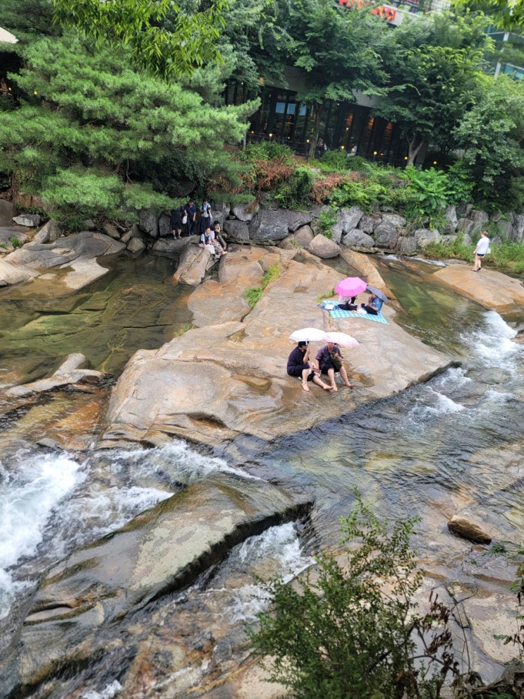  서울근교 가볼만한 곳 안양유원지 반려견동반 선우식당(선우숲캠핑)