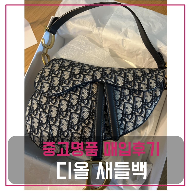  럭션 디올 새들백 매입