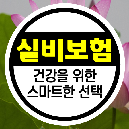  50대 실비보험 가입 : 50대 실손으로 건강과 안정을 위한 스마트한 선택을 하세요.