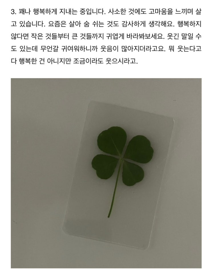  7월 가보실게여