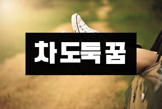 지갑 차 도둑맞는 꿈 도둑잡는 다양한 꿈풀이
