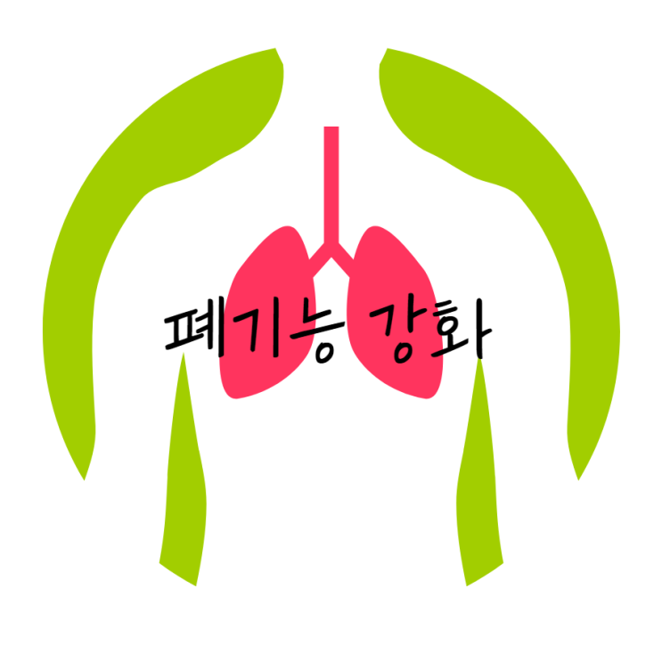 등산의 장점 등산효과 등산 후 신체적 변화 등산의 장점 등산효과 등산 후 신체적 변화