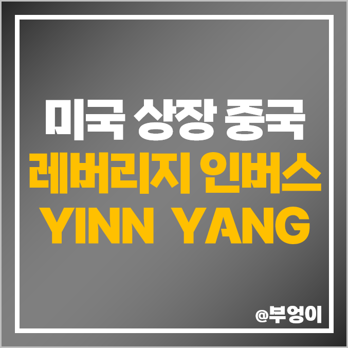 미국 상장 중국 증시 주식 레버리지 ETF YINN 주가, 인버스 etf YANG