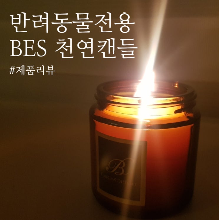  [제품 리뷰] BES 클래식 향초 캔들: 집 안 습기, 악취 제거에 효과적인 캔들 추천