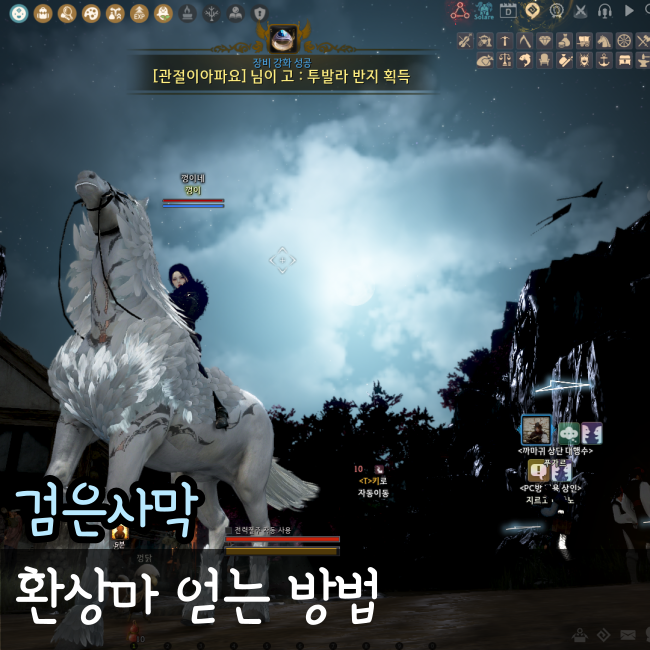  검은사막 환상마 얻는 방법! 뉴비 필수 이벤트