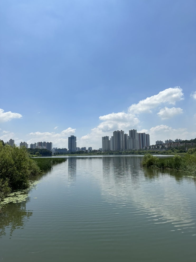  장마 멈춰!