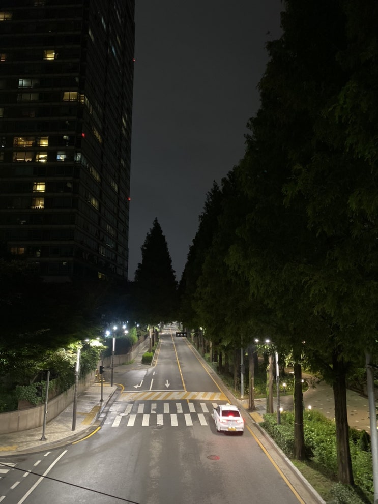  독백 178 / 횡단보도, 택시 그리고 전동킥보드