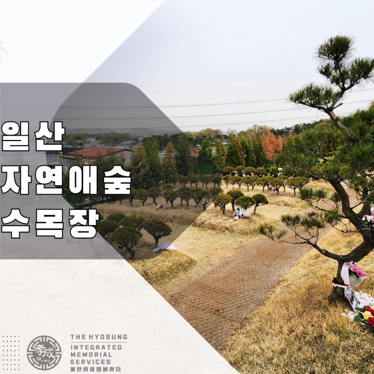  서울 시립화장장에서 제일 가까운 일산 자연애숲수목장 현장조사를 다녀왔습니다.