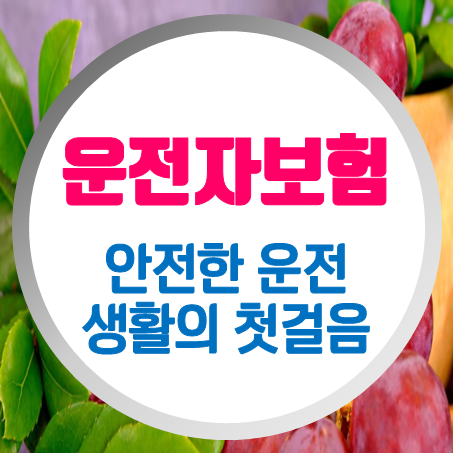  20대 운전자보험 추천 : 안전한 운전 생활의 첫 걸음