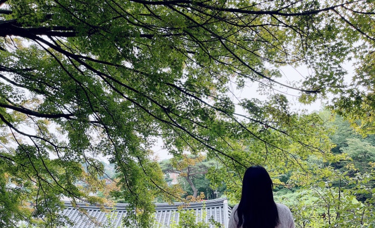 부암동 *석파정 서울미술관 * 한옥과 숨겨진 산책로 통합입장권 주차/ 도이창카페 스코프/ 포토스팟 가볼만한곳 부암동 *석파정 서울미술관 * 한옥과 숨겨진 산책로 통합입장권 주차/ 도이창카페 스코프/ 포토스팟 가볼만한곳