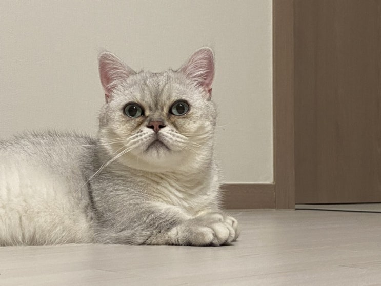  한주 쉬어감미다