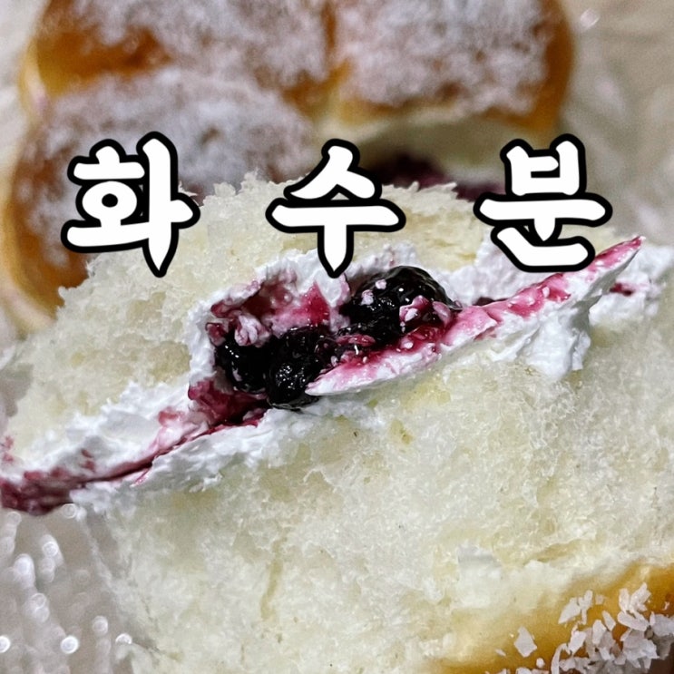  혜화카페 화수분 생각보다 빵이 맛있는 혜화역맛집
