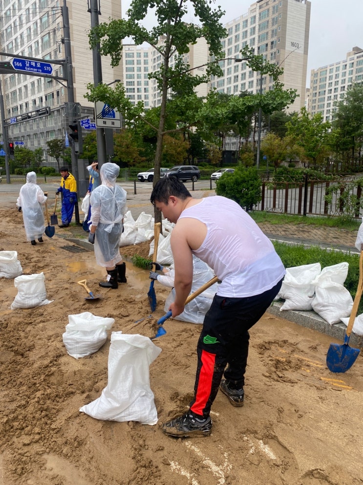 <b>세종시</b>ㆍ<b>세종시</b>의회, 이례적 <b>폭우</b>에 주민 <b>피해</b> 신속 복구 총력