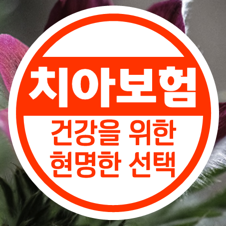  60대 치아보험 추천 : 노년의 치과 보장을 위한 현명한 선택