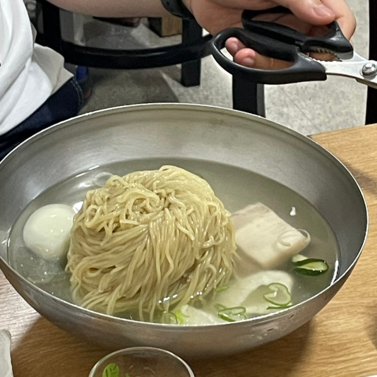  [강남] 미쉐린 가이드 출신 강남구청 평양냉면 맛집 | 진미평양냉면