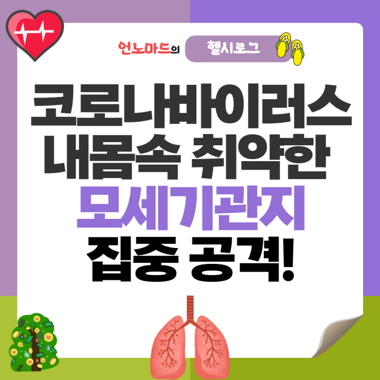  모세기관지염 증상과 폐렴의 관계 및 도움되는 영양소 (by 코로나19 바이러스)