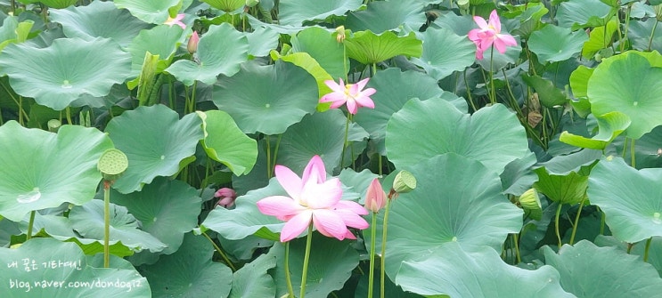  청도 유등연지, 청도향교, 청도읍성, 석빙고