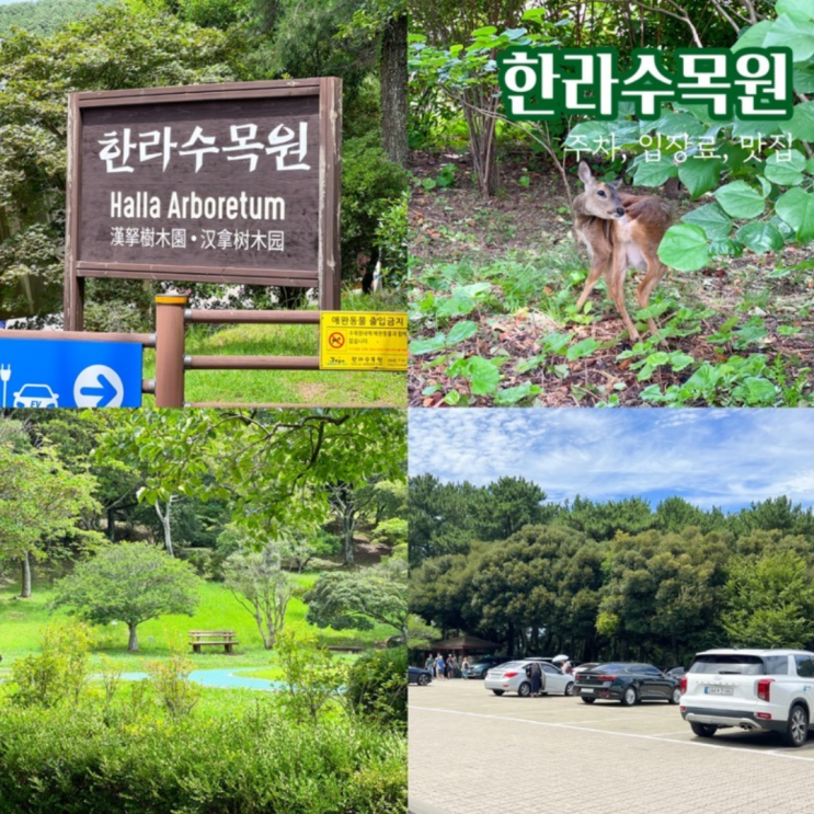 제주 한라수목원 입장료 주차 맛집까지