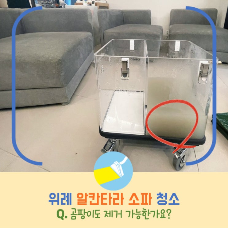  위례 알칸타라 소파 청소, 지하에 2년간 보관한 소파 곰팡이 제거 가능한가요?