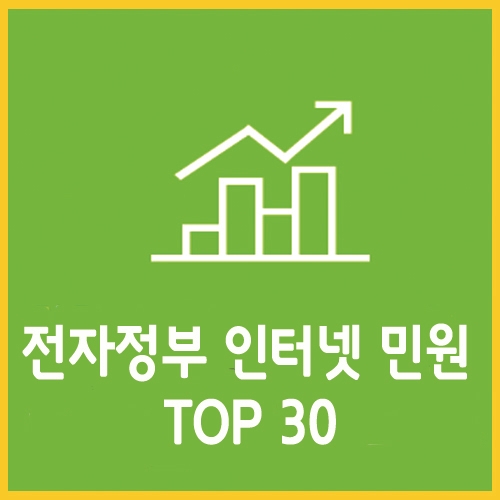 전자정부 인터텟 신청 및 발급민원 TOP 30