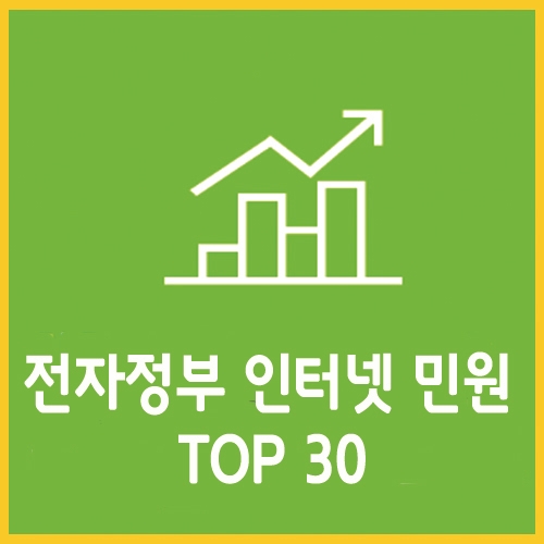  전자정부 인터텟 신청 및 발급민원 TOP 30
