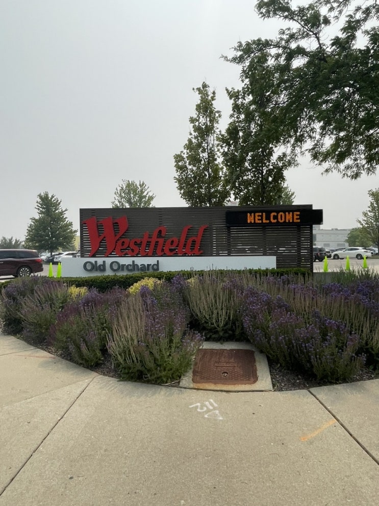 미국 에반스턴 일상 : Westfield old orchard 쇼핑센터, Epic burger