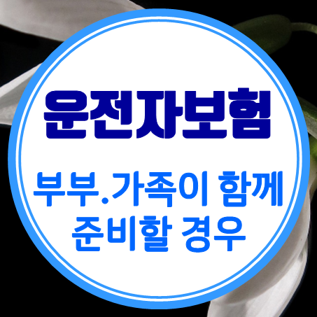  가족운전자보험 가입에 대해 알아보았습니다.