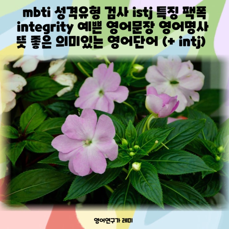 mbti 성격유형 검사 istj 특징 팩폭 integrity 예쁜 영어문장 영어명사 의미있는 영어단어 (+ intj)