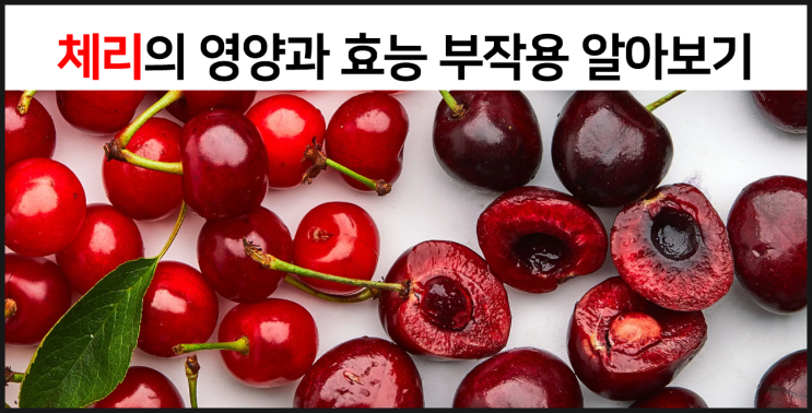  체리의 영양과 효능 부작용을 알아보자