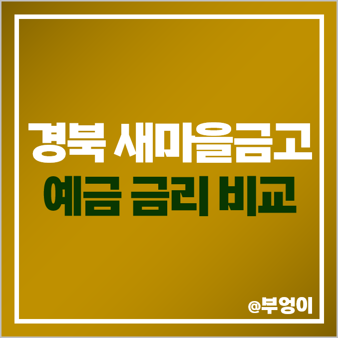 경북 MG 새마을금고 정기예금 금리 비교, 특판 이자율 : 김천 울진 경산 구미 고령 영덕 칠곡 경북 MG 새마을금고 정기예금 금리 비교, 특판 이자율 : 김천 울진 경산 구미 고령 영덕 칠곡