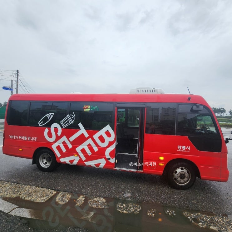 강릉시티버스(SEA TEA BUS) 시간 요금 운행시간 코스  당일치기여행 안목해변 후기