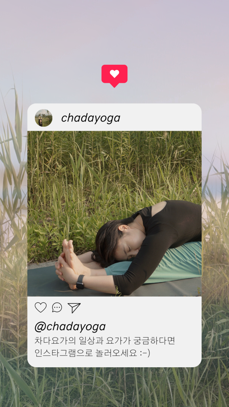  사상 요가 'HO-OM YOGA' 여러분은 요가를 왜 하시나요?